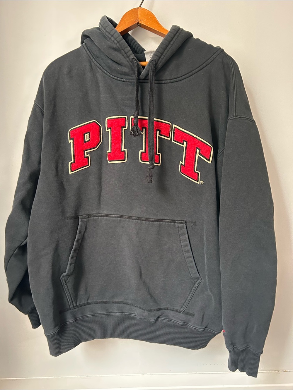 Vintage PITT Panthers University of Pittsburgh College Hoodie Sweatshirt Mens XL